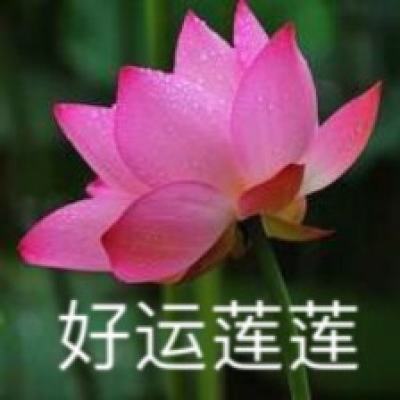 半岛·综合体育官方网站